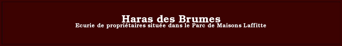 Haras des Brumes